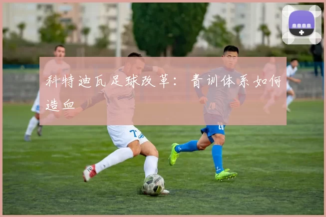 科特迪瓦足球改革：青训体系如何造血