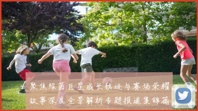 聚焦绿茵巨星成长轨迹与赛场荣耀故事深度全景解析专题报道集锦篇