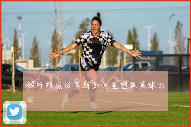 碳纤维底板革新如何重塑弧圈球打法