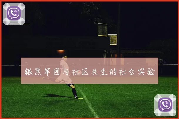 银黑军团与社区共生的社会实验