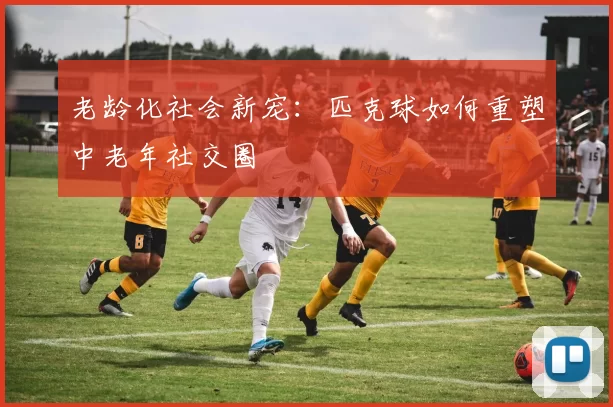 老龄化社会新宠：匹克球如何重塑中老年社交圈