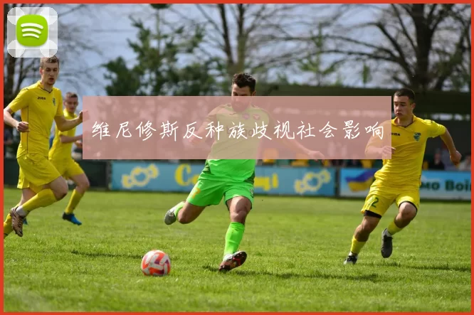 维尼修斯反种族歧视社会影响
