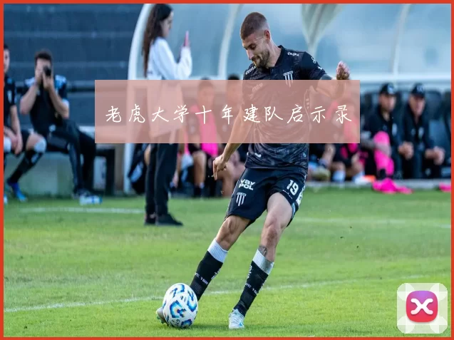 老虎大学十年建队启示录