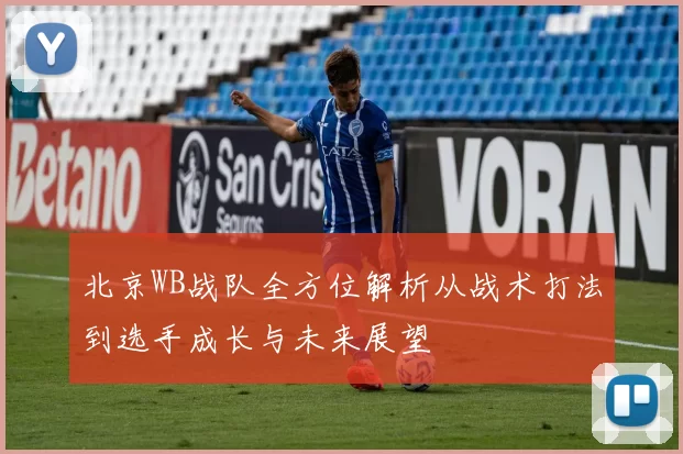 北京WB战队全方位解析从战术打法到选手成长与未来展望