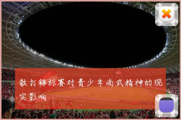 散打锦标赛对青少年尚武精神的现实影响