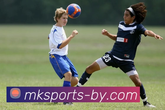 MKsports平台生态图